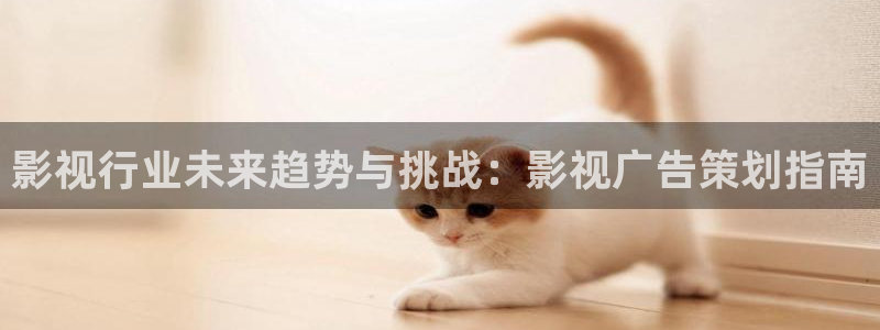 麻豆a视频在线