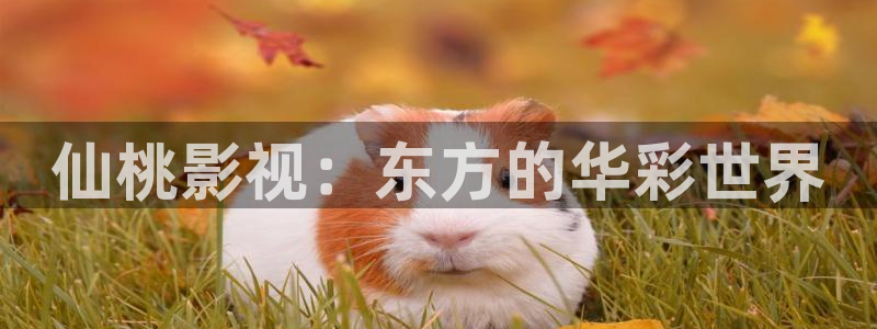 www.麻豆影片：仙桃影视：东方的华彩世界