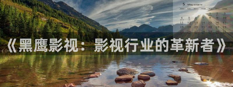 麻豆影视：《黑鹰影视：影视行业的革新者》