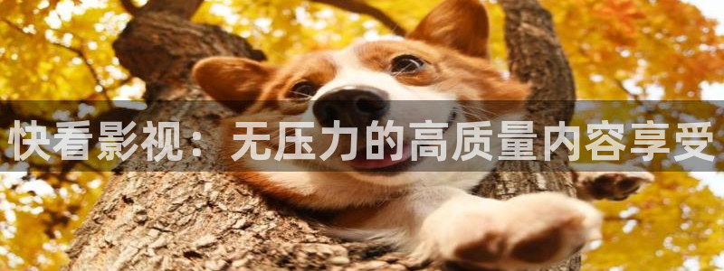 麻豆电影高清在线观看